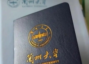 兰州大学“骆驼证”爆红网络
