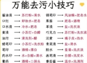 高效家庭清洁的小妙招