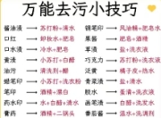 高效家庭清洁的小妙招